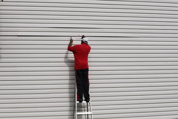Affordable Siding Repair and Maintenance Services in Jacksboro, TN